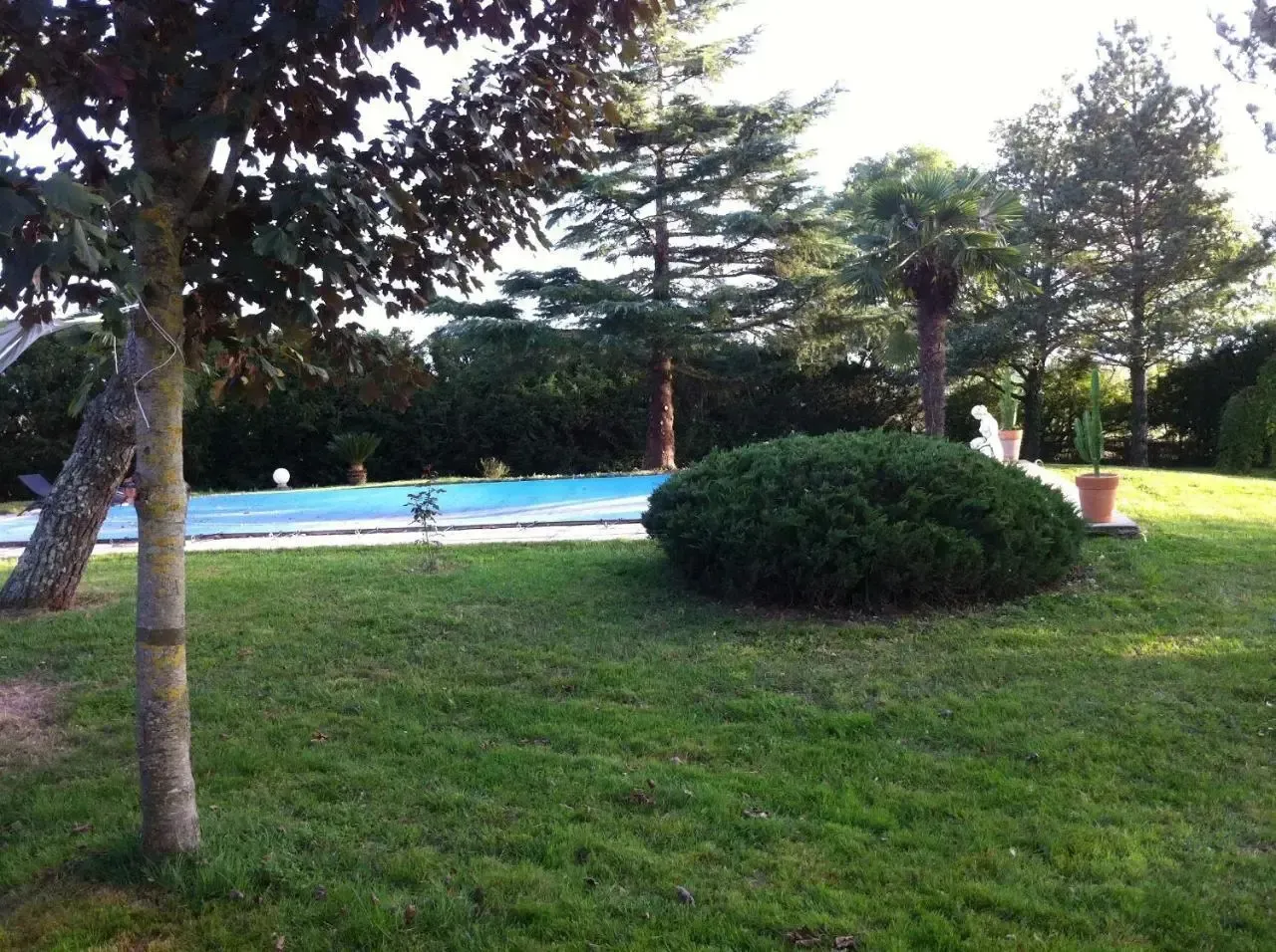 Hotel image 9