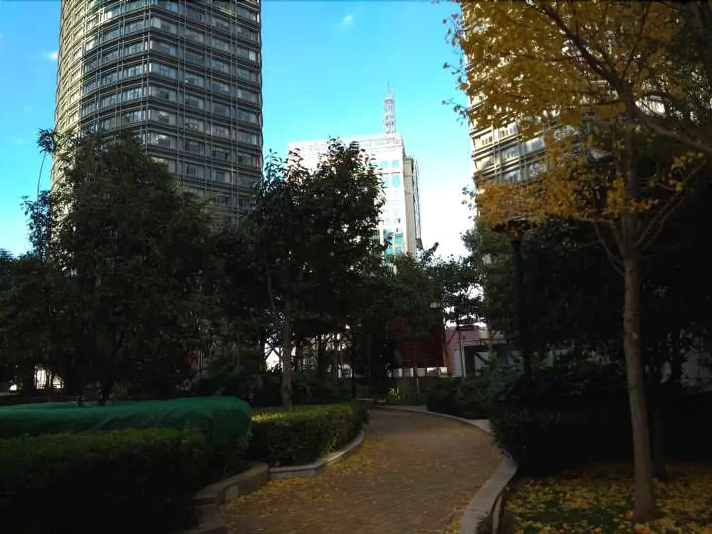 Hotel image 14