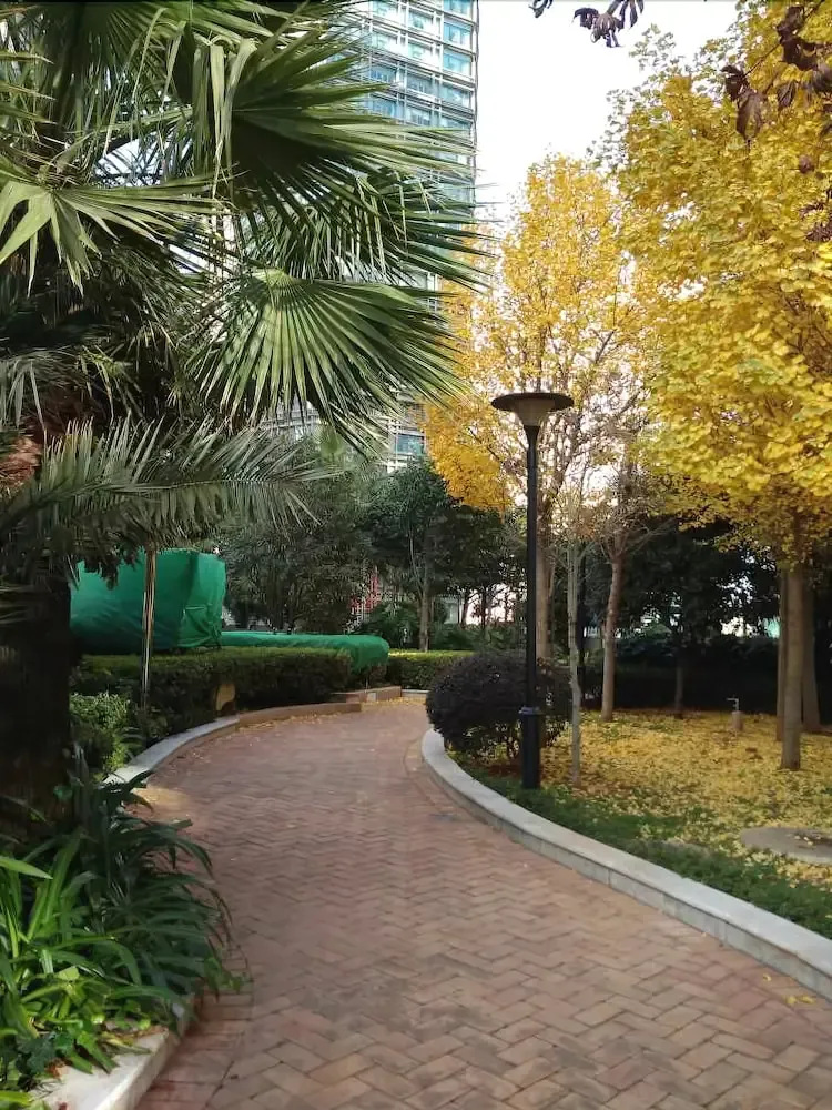 Hotel image 15