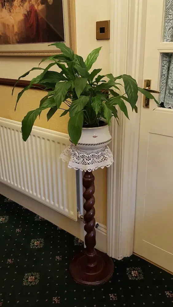 Hotel image 15