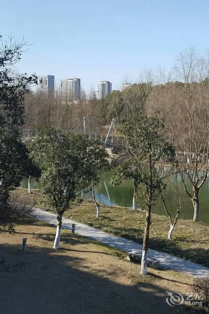 Hotel image 12