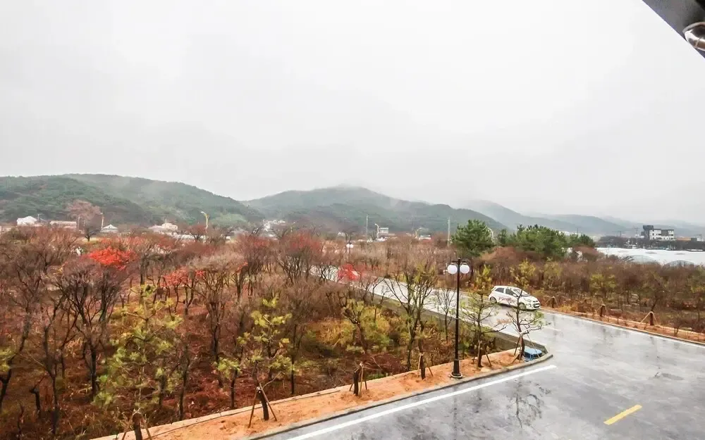 Hotel image 15