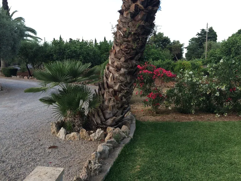 Hotel image 11