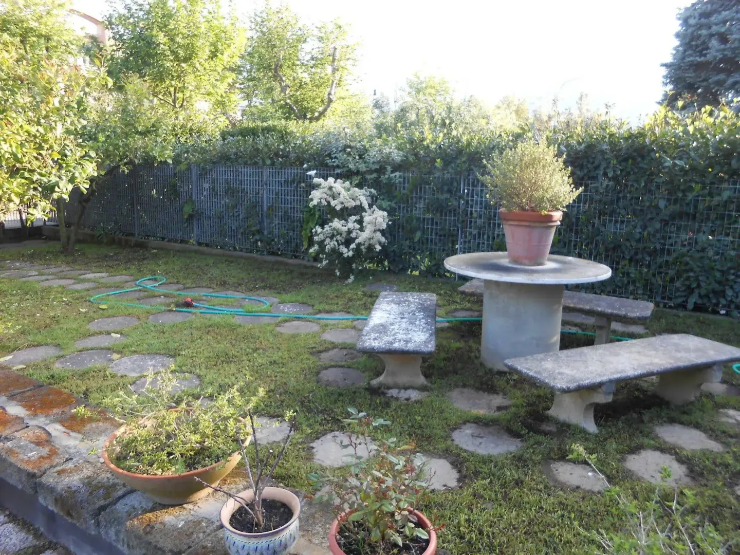 Hotel image 11