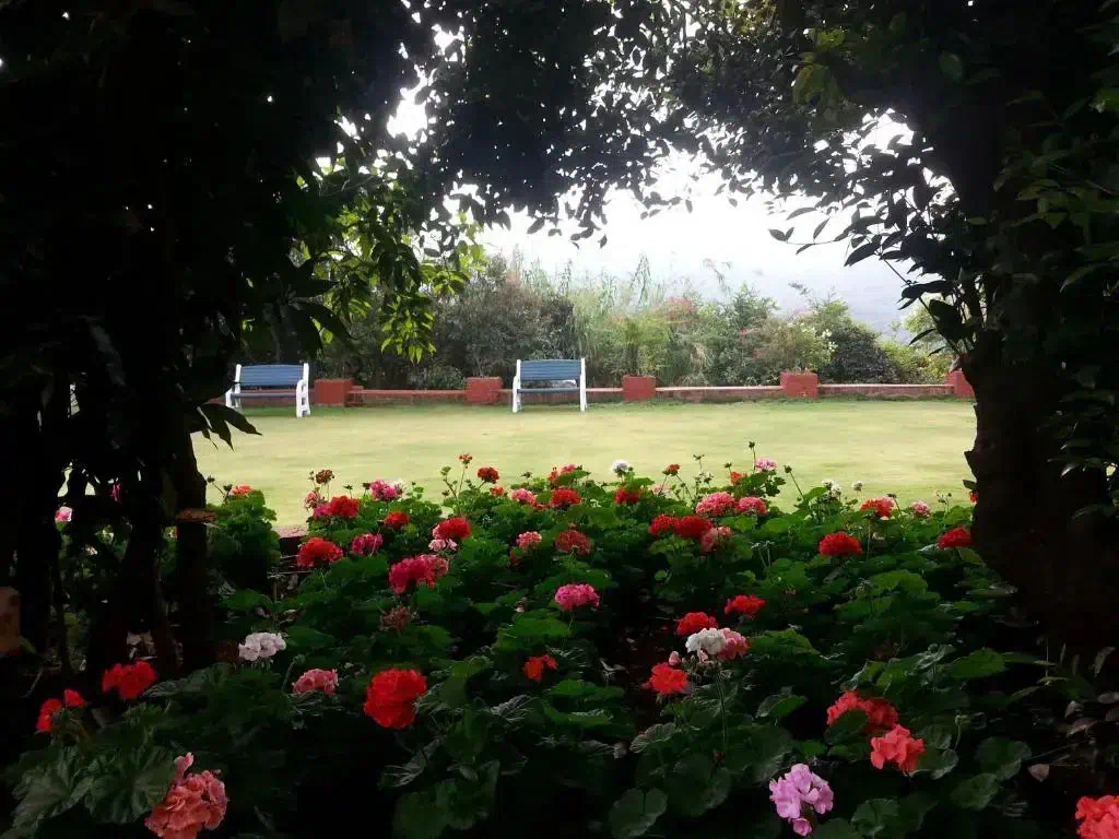 Hotel image 20