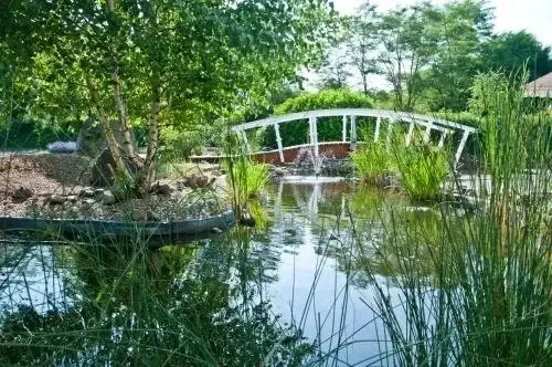 Hotel image 11