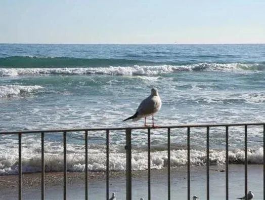 Hotel image 11