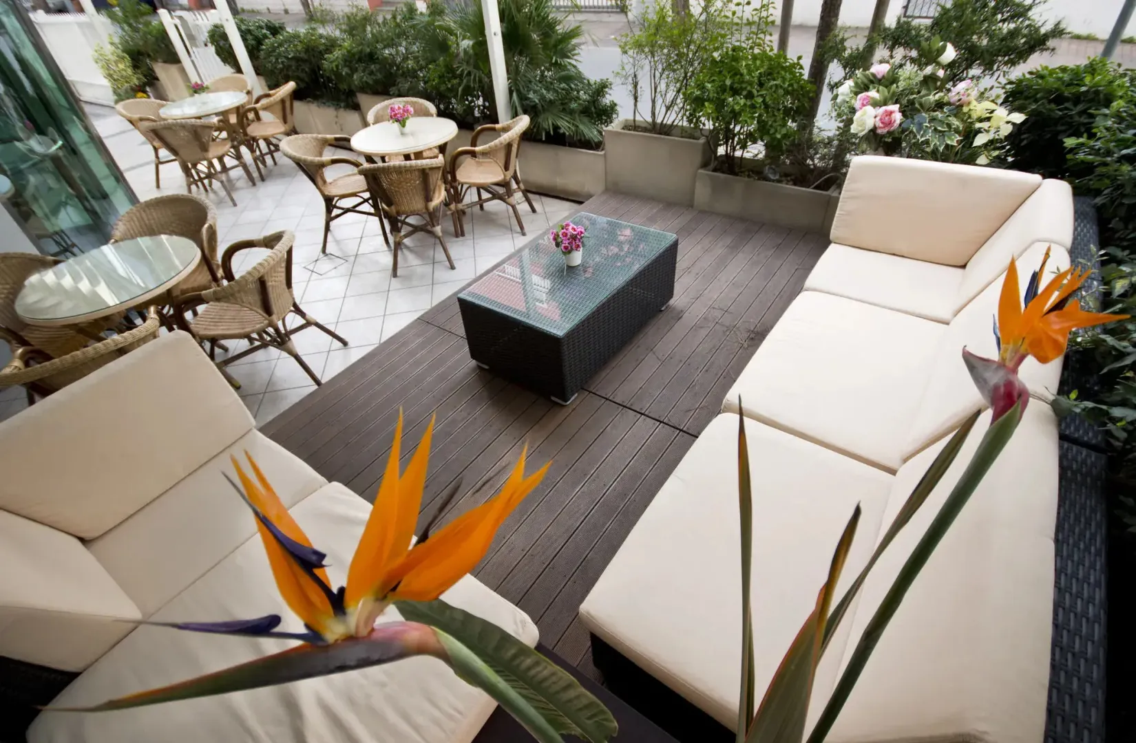 Hotel image 12