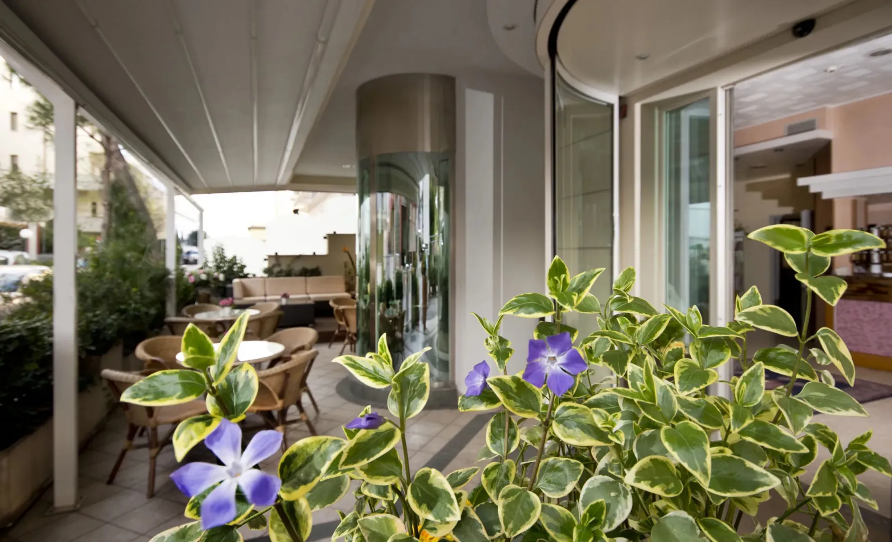 Hotel image 7