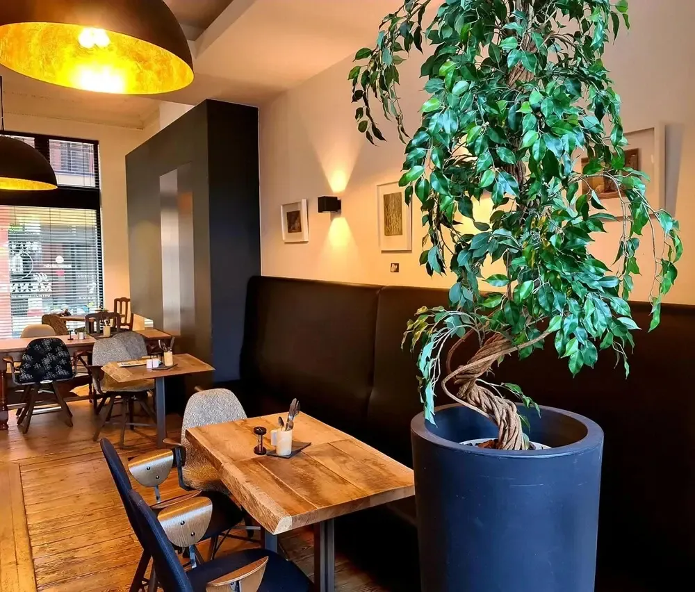 Hotel image 9