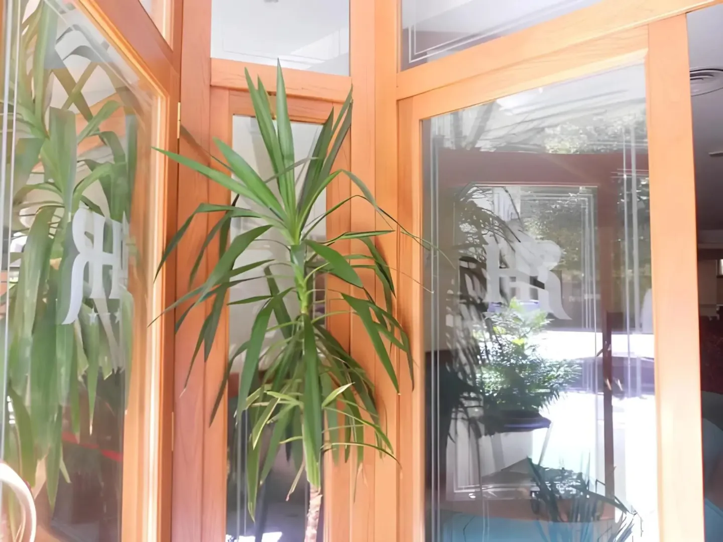 Hotel image 2