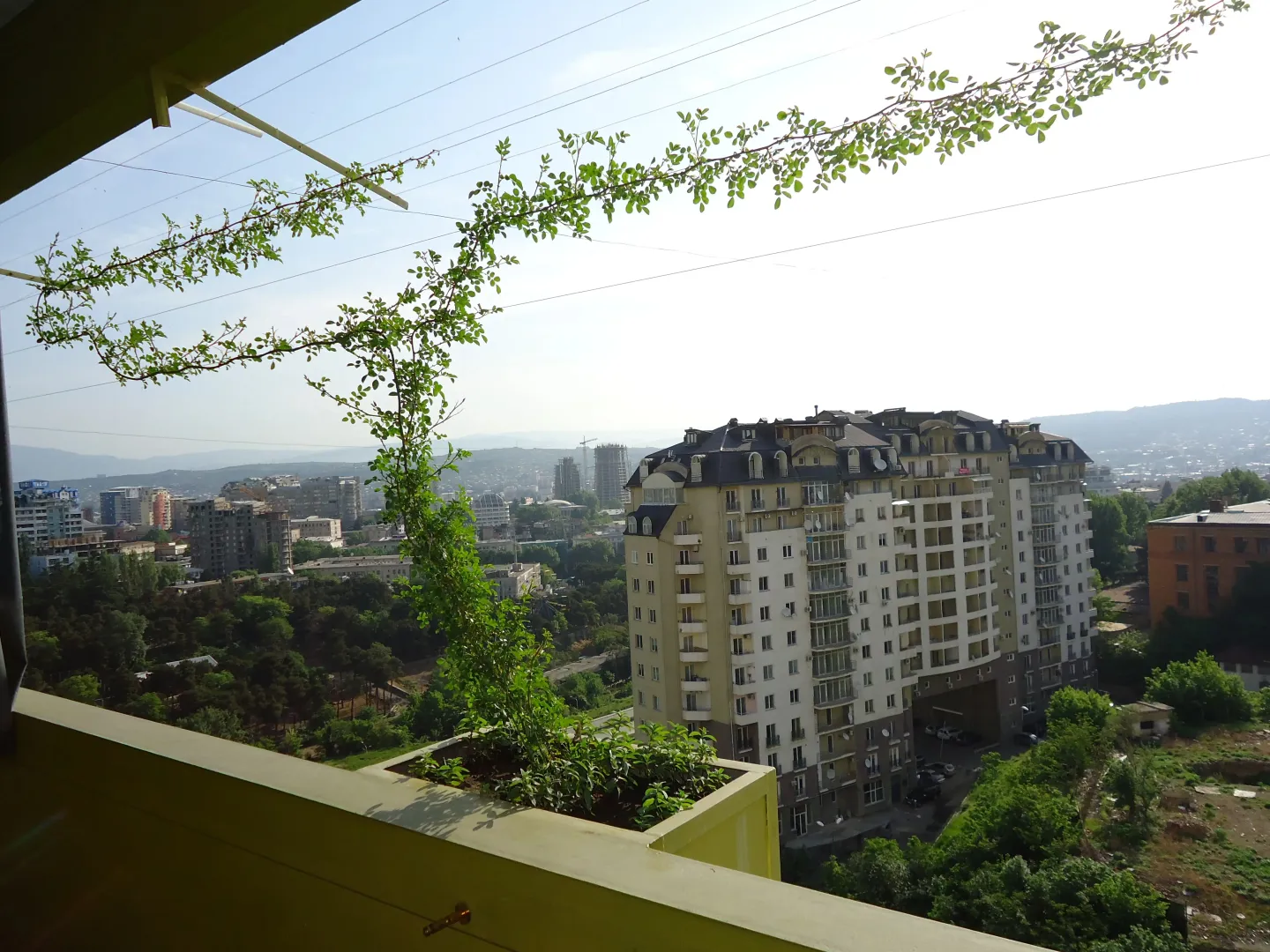 Hotel image 15