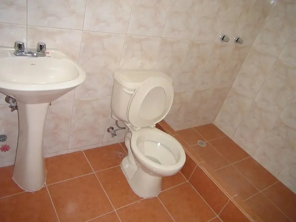 Hotel image 8