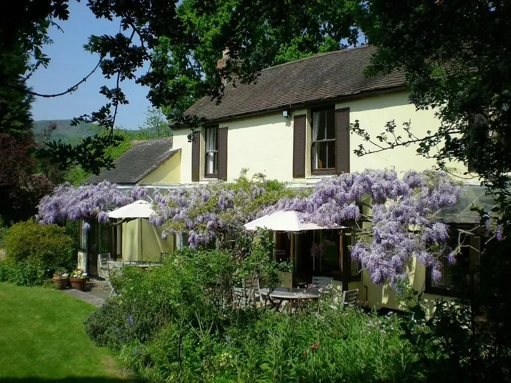 Hotel image 12