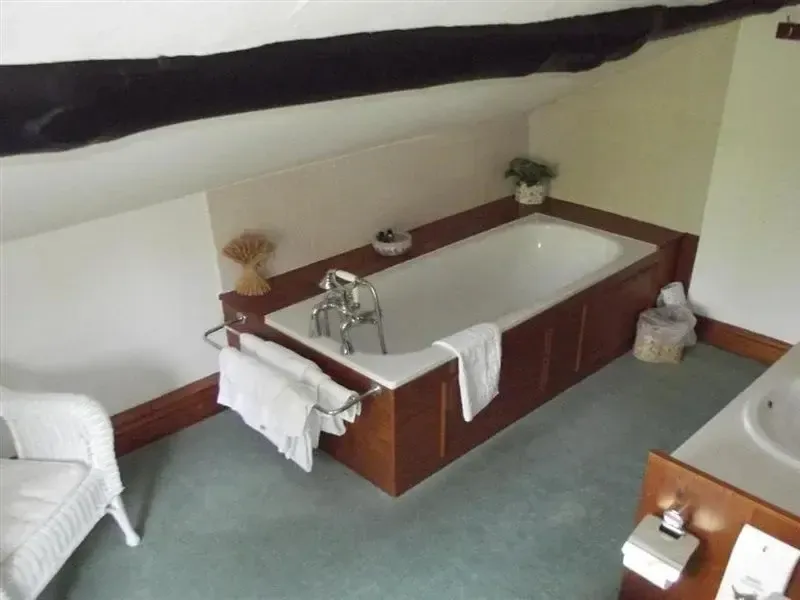 Hotel image 7