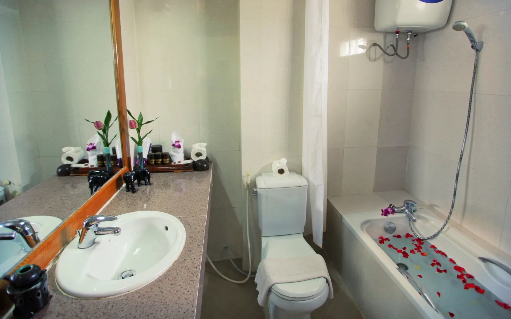 Hotel image 11