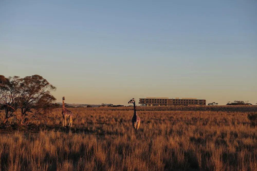 Hotel image 3