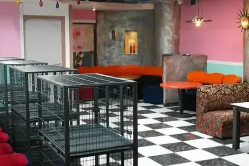 Hotel image 9