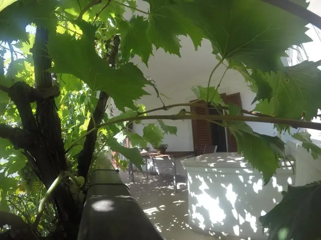 Hotel image 10