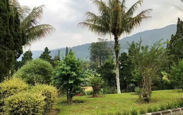Hotel image 10