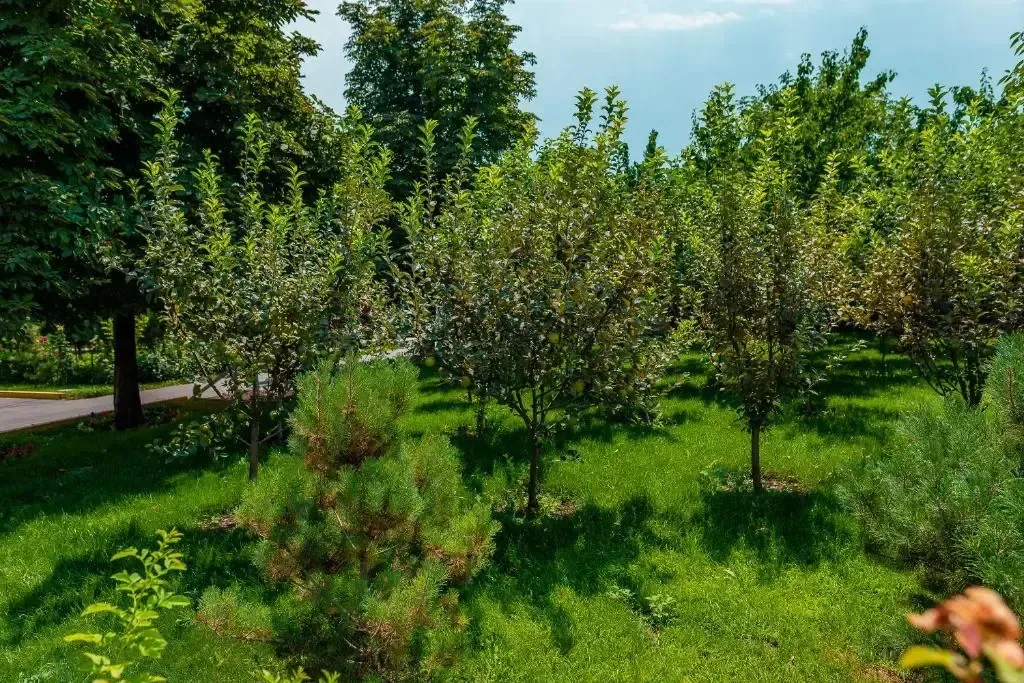Hotel image 13