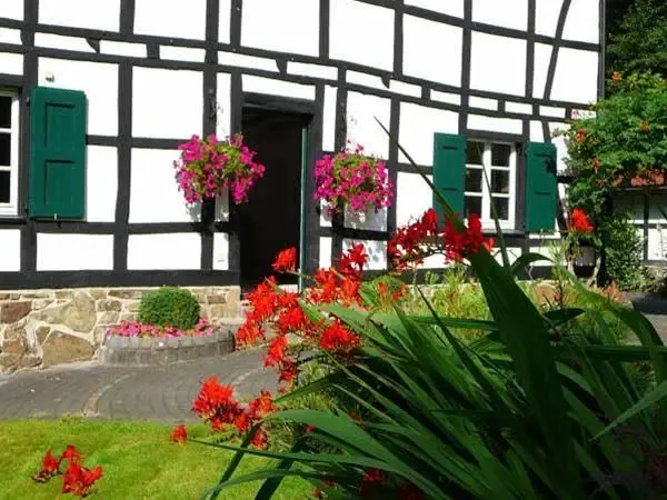 Hotel image 12