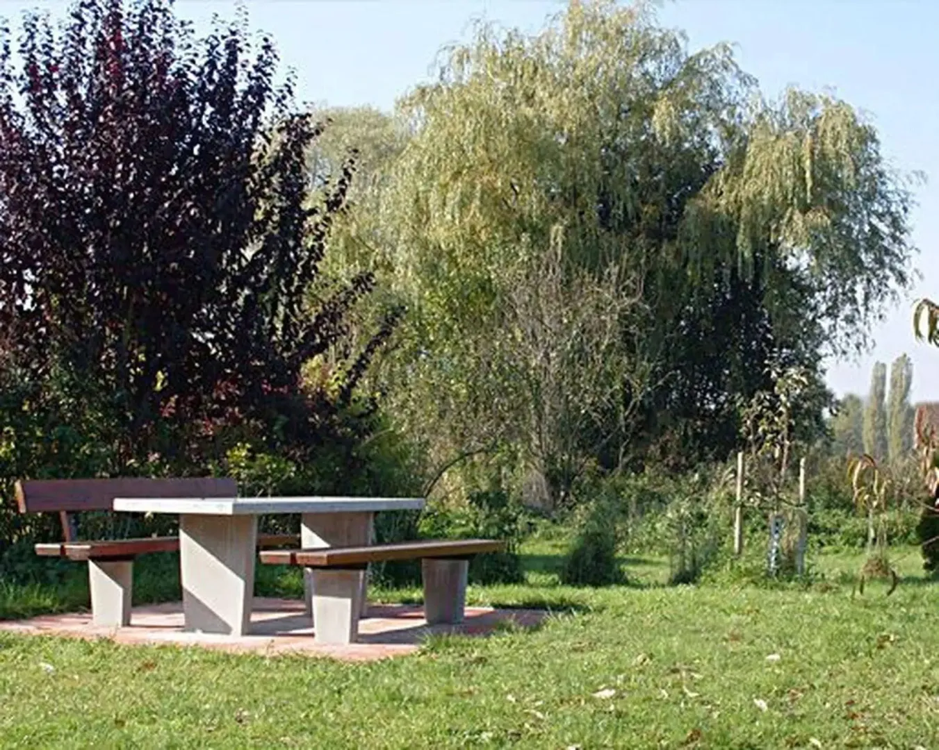 Hotel image 14