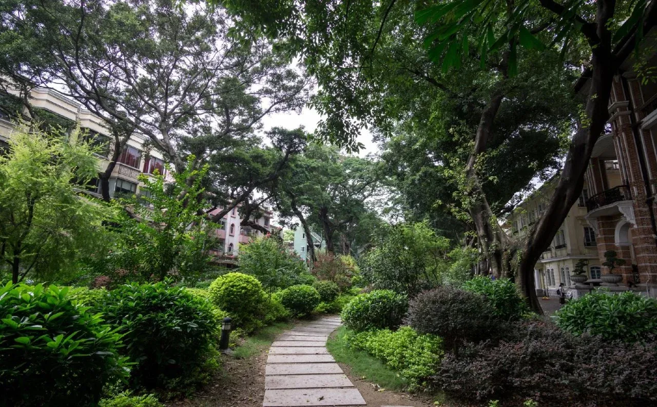 Hotel image 14
