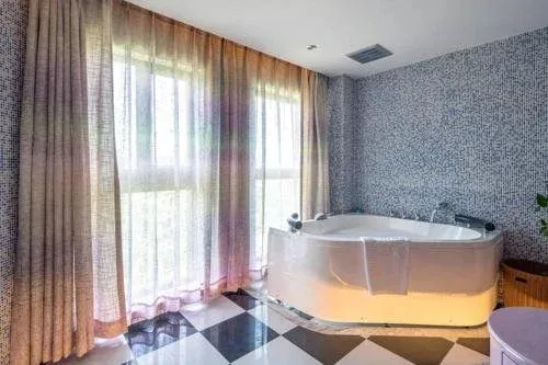 Hotel image 13