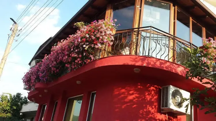 Hotel image 12
