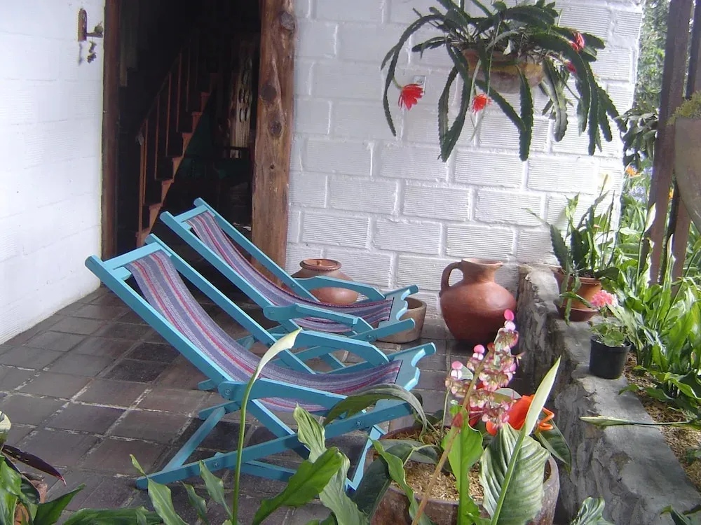 Hotel image 11
