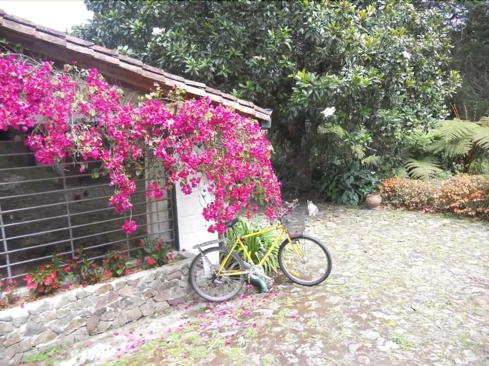 Hotel image 12