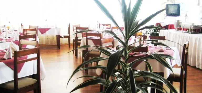 Hotel image 10