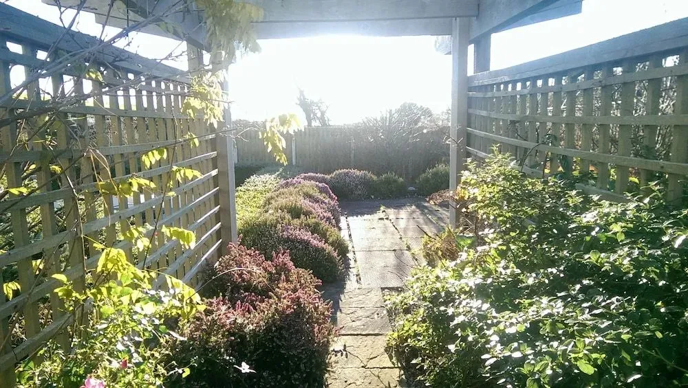 Hotel image 11