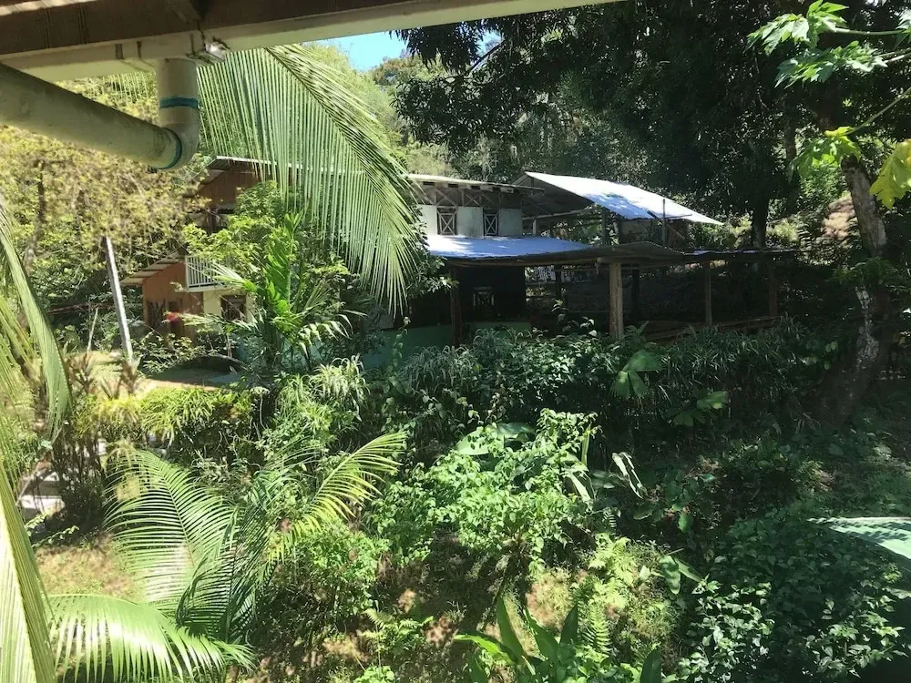 Hotel image 11