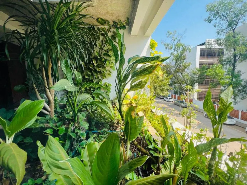 Hotel image 13