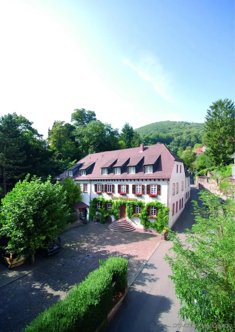 Hotel image 9