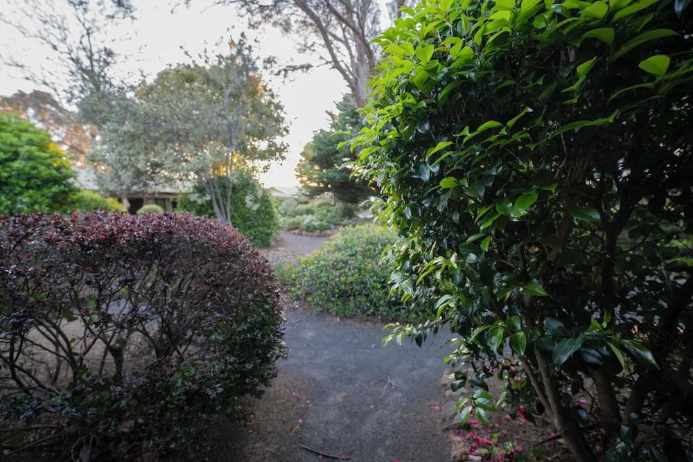 Hotel image 18