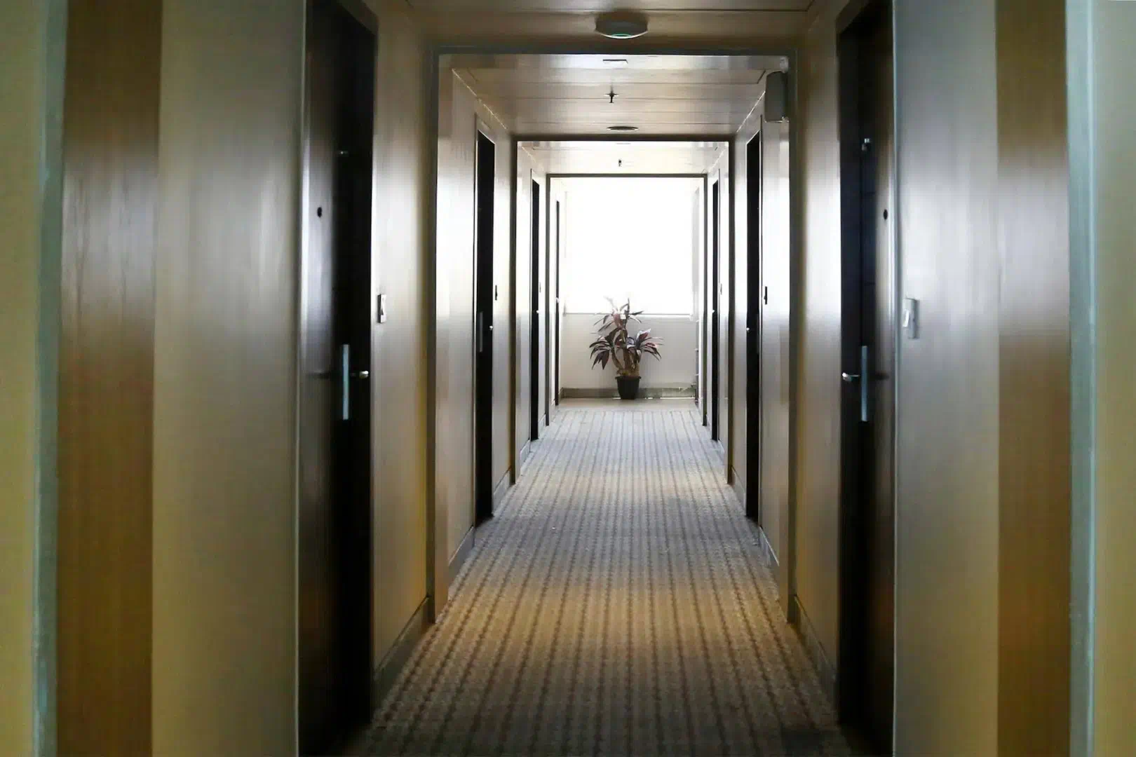 Hotel image 11