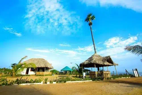 Hotel image 14