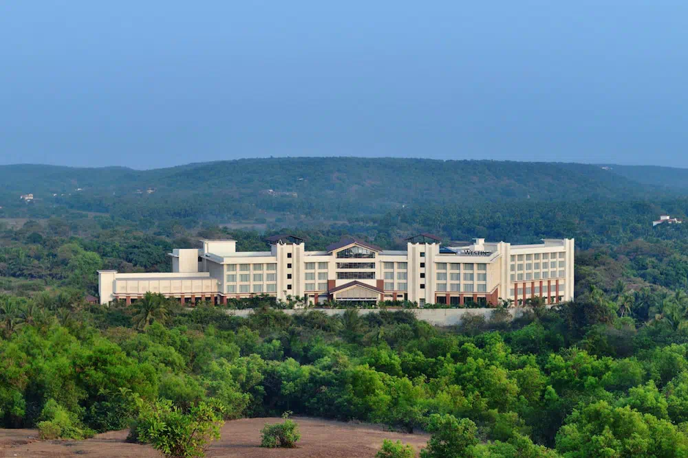 Hotel image 8
