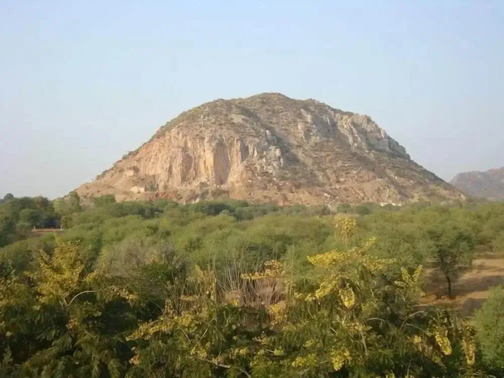 Hotel image 14