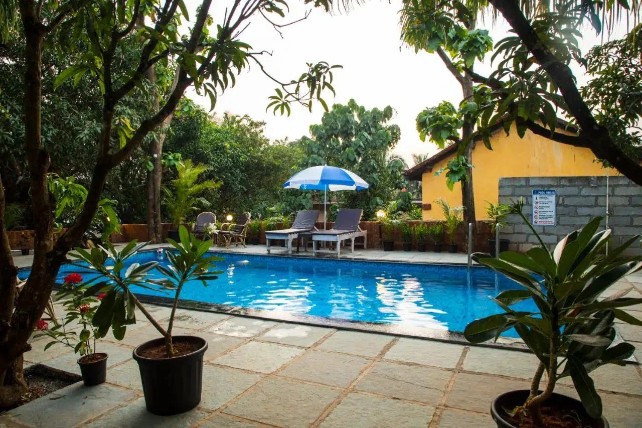 Hotel image 15