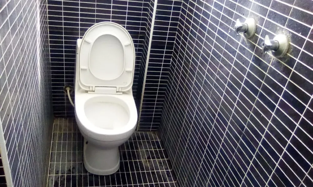 Hotel image 13