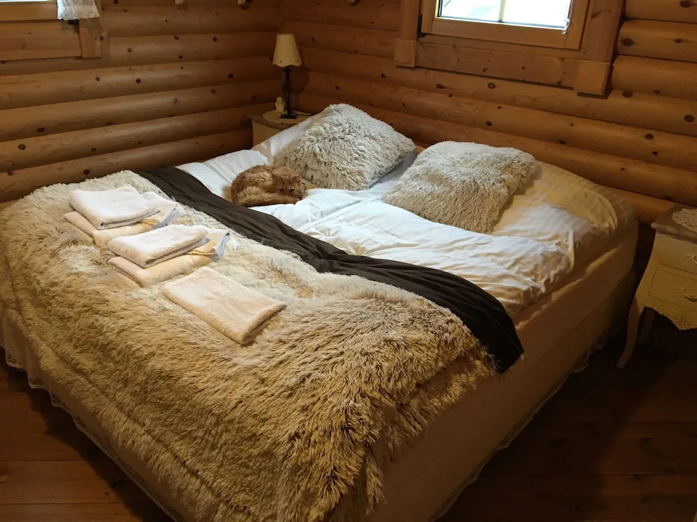 Hotel image 12