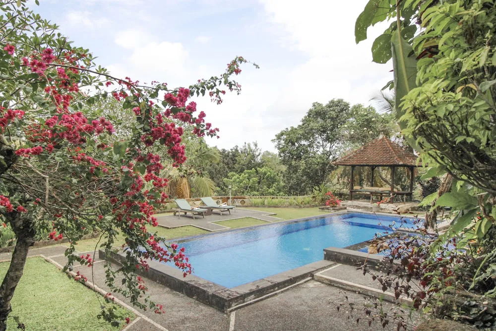 Hotel image 15