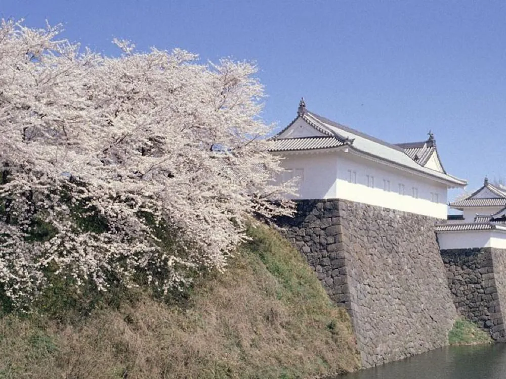 Hotel image 13
