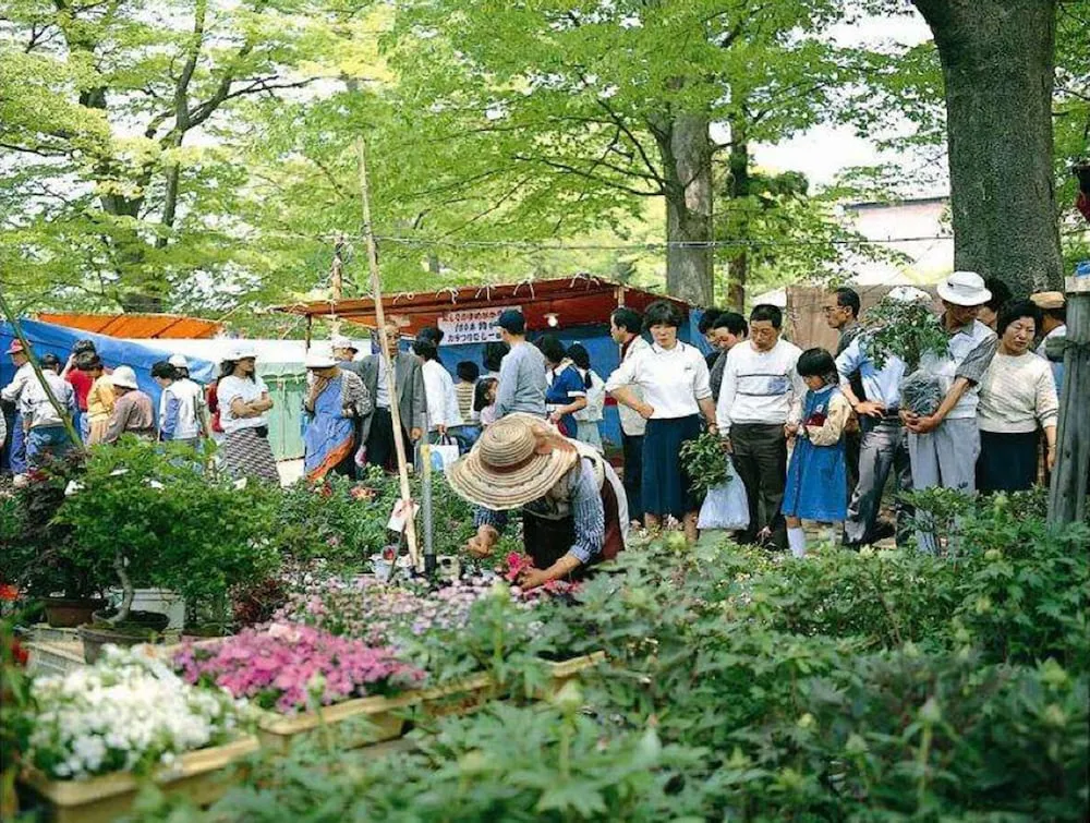 Hotel image 14