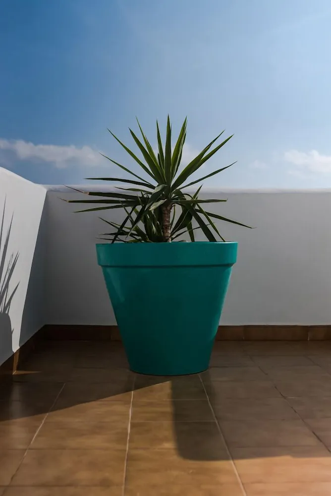 Hotel image 8
