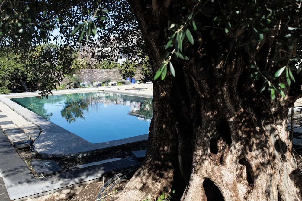 Hotel image 9